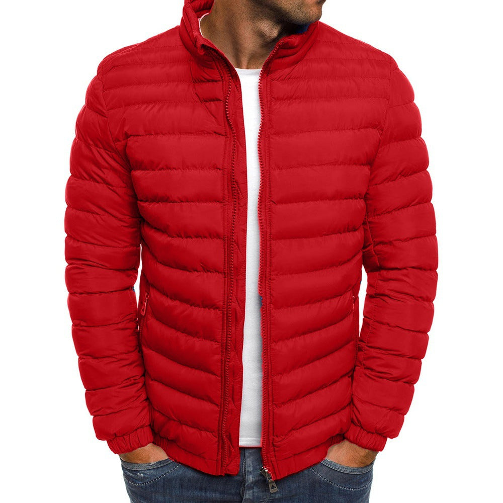Steppjacke Damen mit hohem Kragen und durchgehendem Reißverschluss - 2 - Trendlinie
